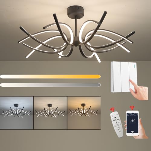 Modern LED Ceiling Light Fixture