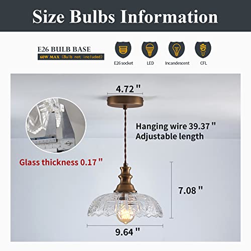 2 Pack Pendant Light Vintage Oil Rubbed Bronze Metal Glass Shade Chandelier