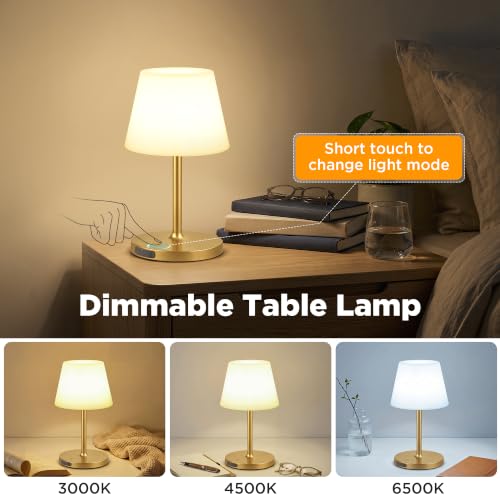 2 Pack Shower Lamp Waterproof (2 Count)