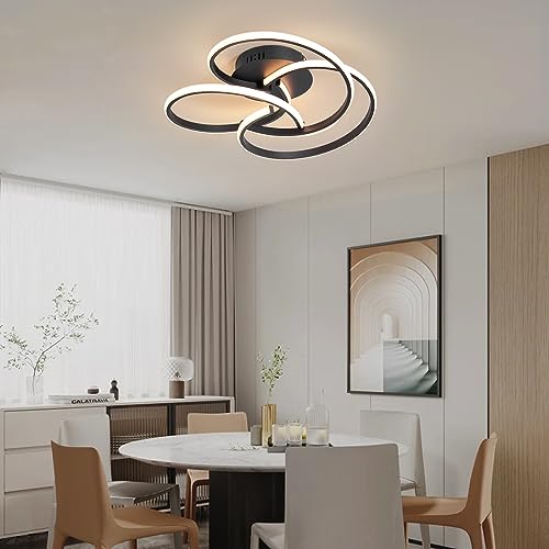 Modern Led Ceiling Light