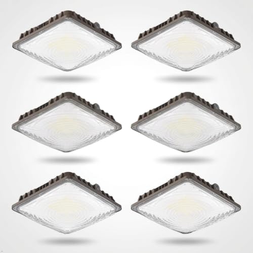 LED Canopy Light 60W (60W 6PACK)