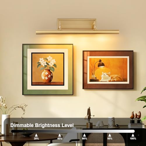 Picture Light for Wall