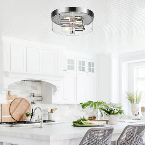 Flush Mount Ceiling Light Fixtures (2 Count)