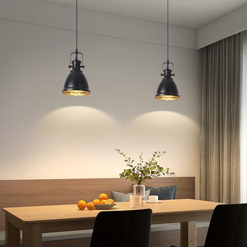 Black Pendant Light 2 Pack (2 Count)