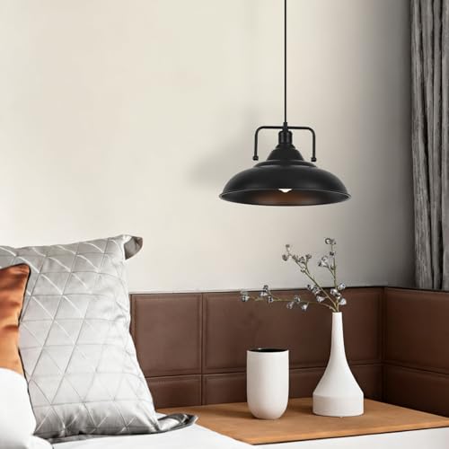 Black Pendant Light