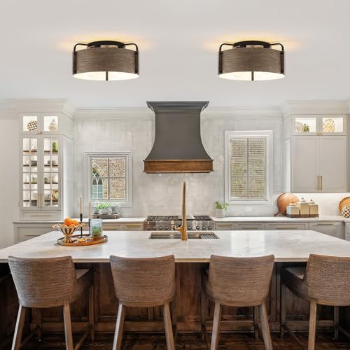 Flush Mount Ceiling Light