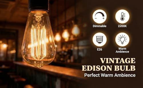 ST64 Incandescent Edison Bulb 60W E26 2200K Dimmable Amber Glass 6 (6 Count)