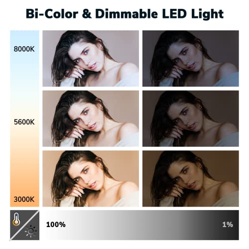 D50 Photography Lighting with Barn Door