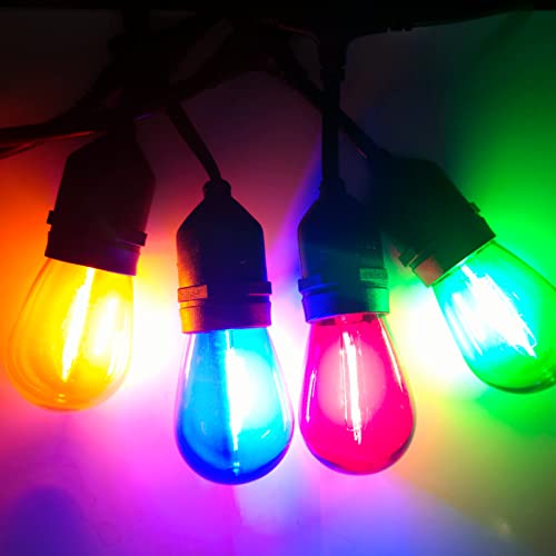 24Pack S14 Colored LED String Light Bulbs (24 Count)