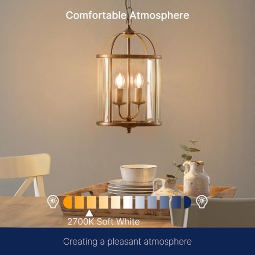 LED Candelabra Light Bulbs E26 Base (24 Count)