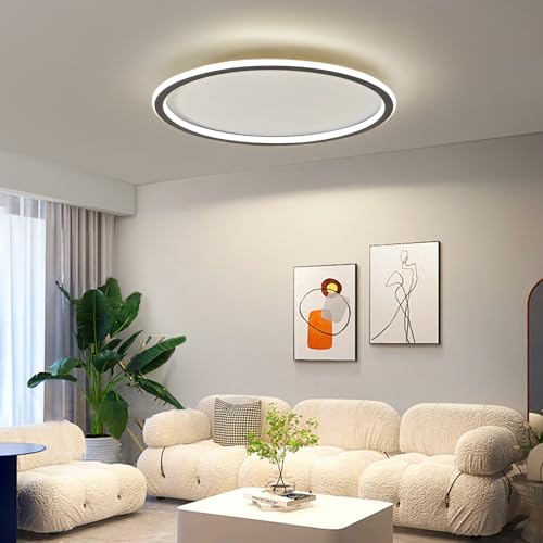 19.68 Inch Flush Mount Ceiling Light