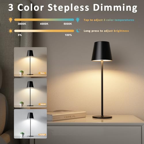 Cordless Table Lamp