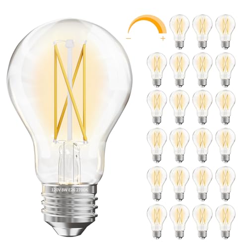 24 Pack A19 Vintage LED Edison Bulbs (24 Count)