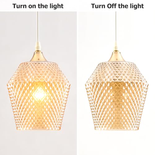 2Pcs Small Glass Lamp Shades (2 Count)