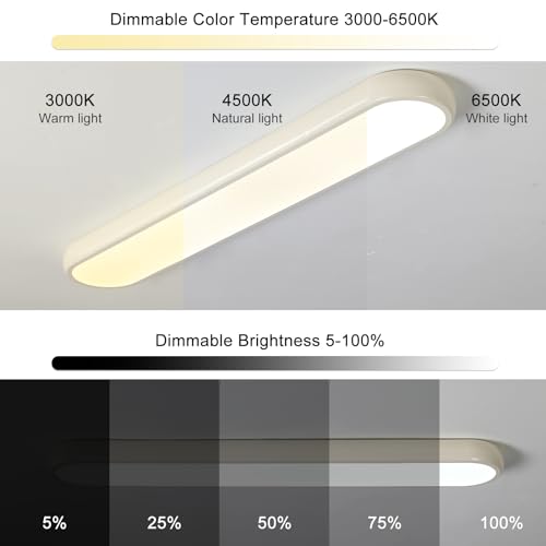 LED Ceiling Light