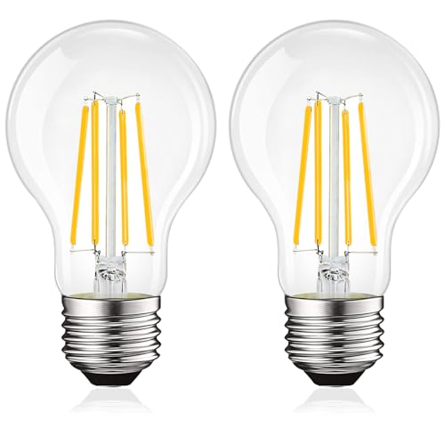 Vintage A19 LED Light Bulbs 100W Equivalent (2 Count)
