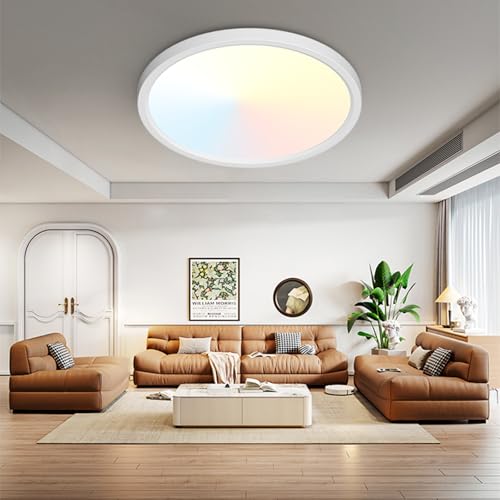 19Inch LED Ceiling Light Flush Mount