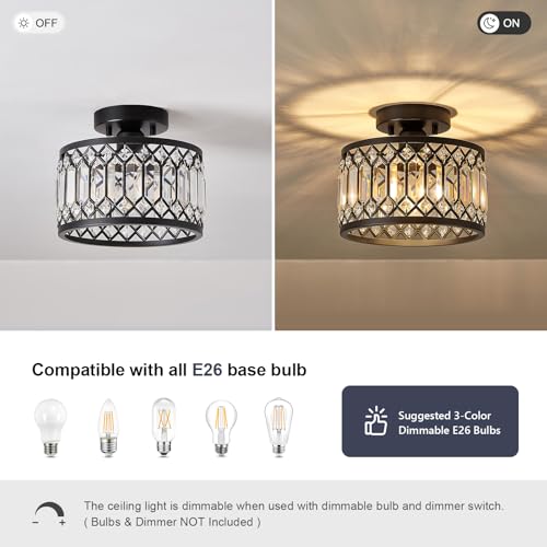 Crystal Black Ceiling Light