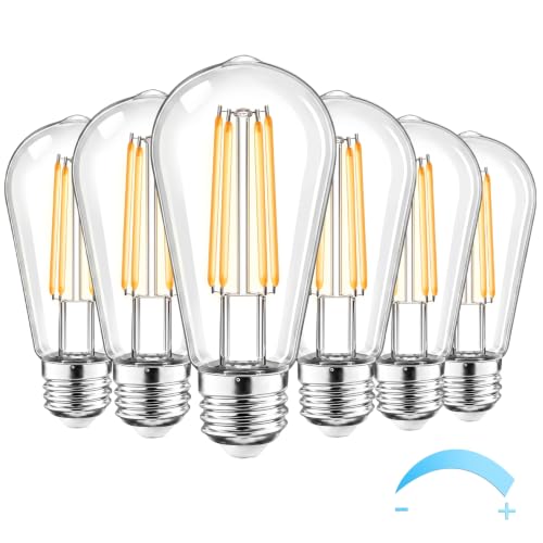 Vintage LED Edison Light Bulbs