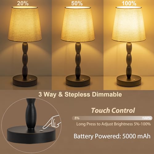 Rechargeable Cordless Table Lamp