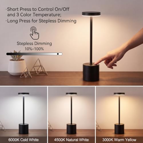 Black Cordless Table Lamp Set of 2 (2 Count)