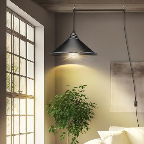 Big Black Plug in Pendant Light