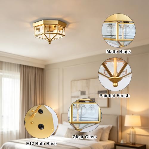 Flush Mount Outdoor Ceiling Light Fixture