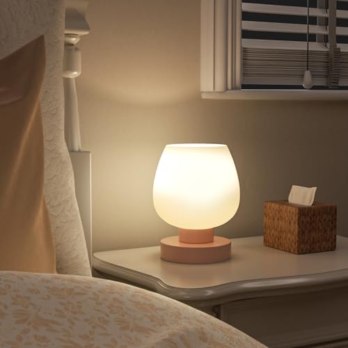 Pink Touch Table Lamp for Nightstand