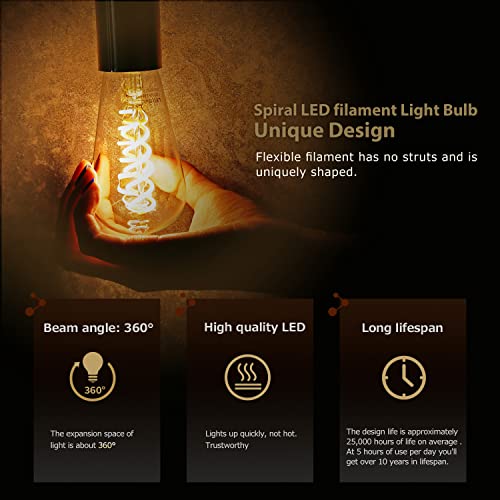 6 Pack ST19 ST58 Edison Bulb (6 Count)