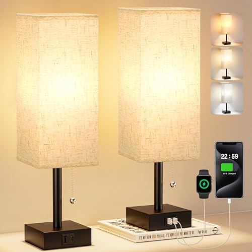 Bedside Lamps for Bedroom Set of 2 (2 Count)
