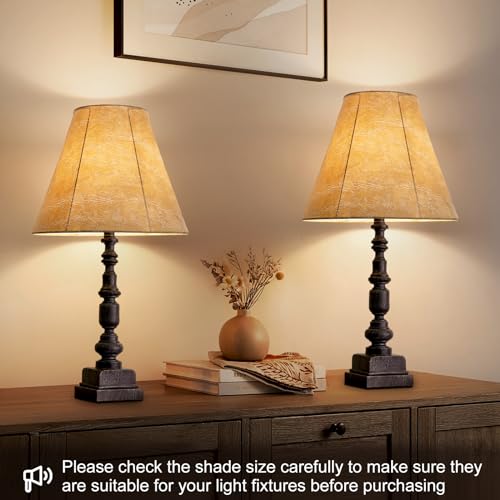 Rustic Lampshades Set of 2 (2 Count)