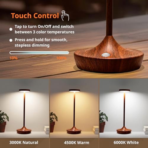 2 Pack Cordless Table Lamps