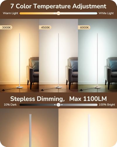 2 Pack 57.5” Floor Lamps with Remote (2 Count)