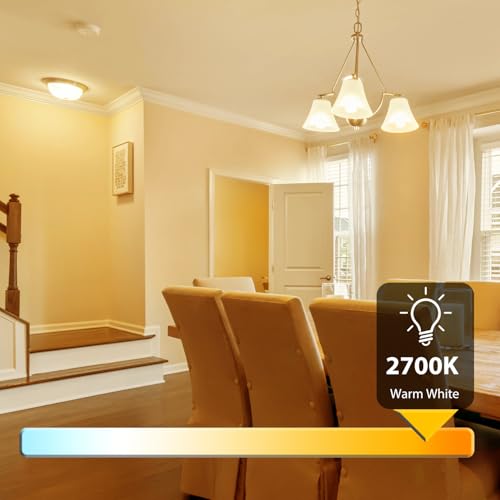 A19 LED Light Bulbs (12 Count)