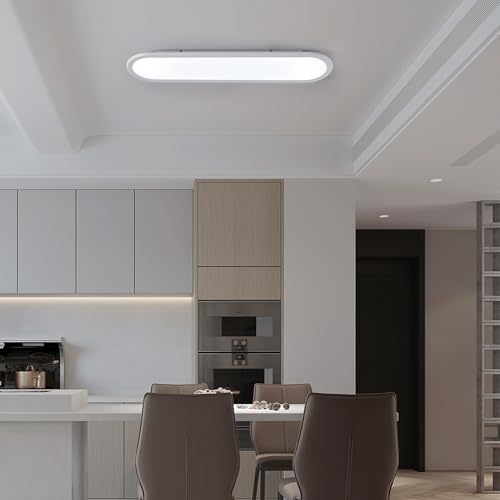 27.6 Inch LED Ceiling Light