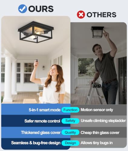 Motion Sensor Outdoor Ceiling Light with Remote
