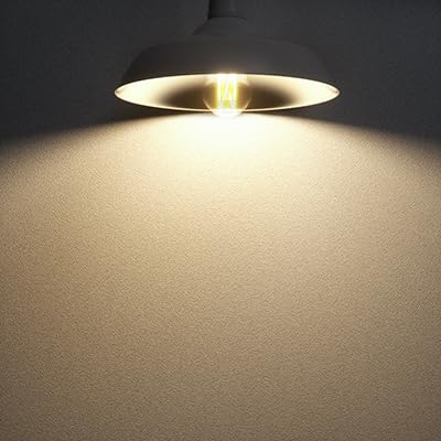 A19 Vintage LED Edison Bulbs
