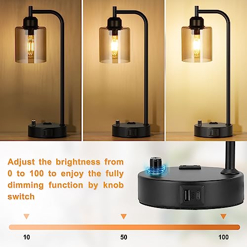 Industrial Bedside Lamps for Nightstand Set of 2 (2 Count)