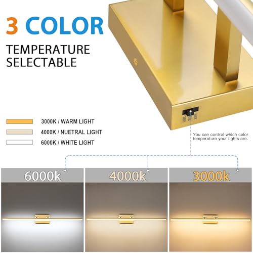 LED Bathroom Vanity Light
