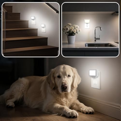 4 Pack LED Night Light Plug in (4 Count)