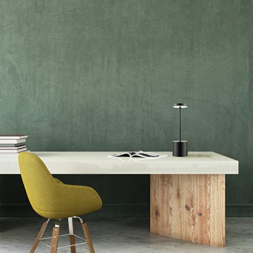LED Cordless Table Lamps