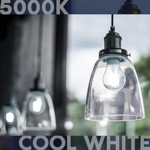 Vintage A19 LED Light Bulbs 60W Equivalent (4 Count)