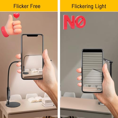 LED Desk Lamp