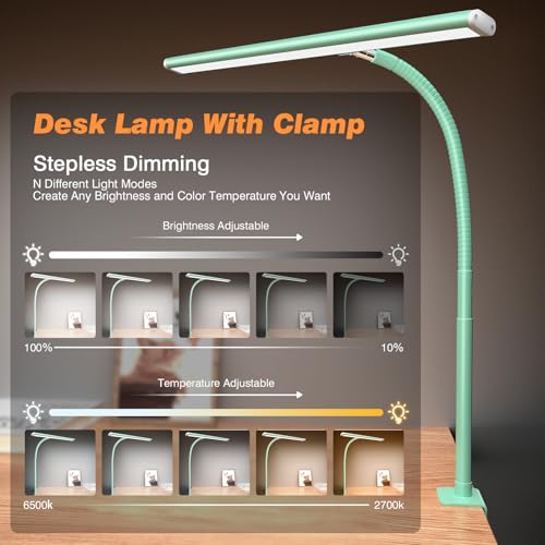 LED Desk Lamp with Clamp