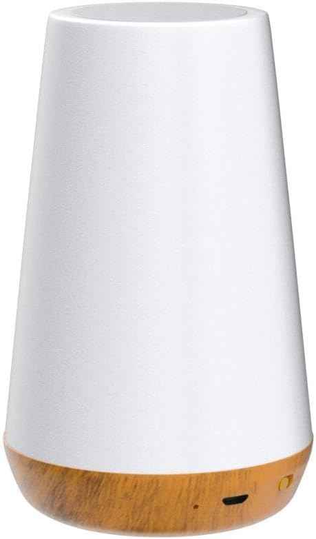 THAUSDAS Night Light, Dimmable Touch Lamp for Bedroom, Portable Table Bedside Lamp, 5 Brightness 13 RGB Colors, Night Lights for Baby Nursery Bathroom
