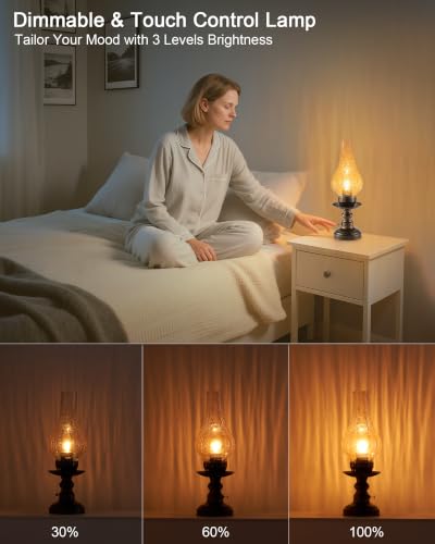 Vintage Rechargeable Cordless Table Lamp