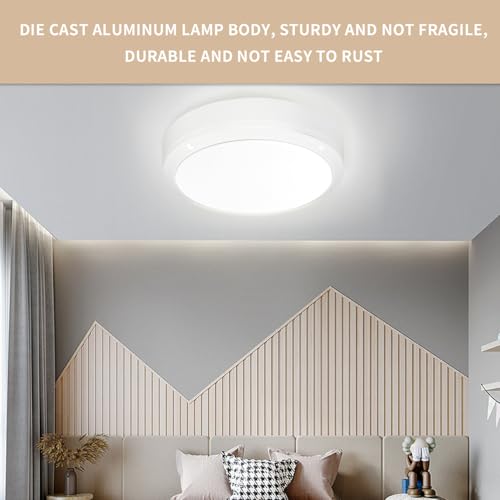 Flush Mount Ceiling Light