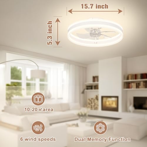 Fandelier Ceiling Fans with Lights and Remote