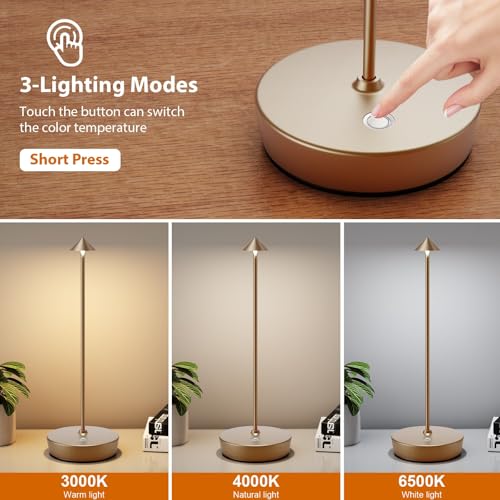 LED Cordless Rechargeable Table Lamps (2 Count)