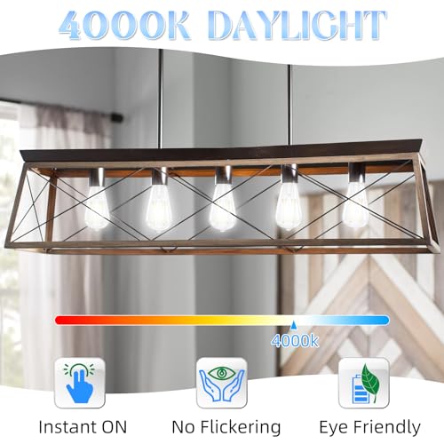 E26 Bulb, Non-Dimmable Edison Bulbs 60 watt LED, 4000K Daylight White, ST58 Vintage Light Bulbs, 90+ CRI, E26 Medium Base, Clear Glass, 18 Pack (18 Count)